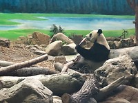 IMG_2438