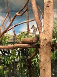 IMG_2440