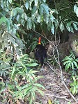 IMG_6710