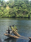 IMG_6803