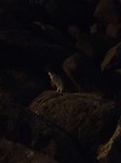 IMG_7215
