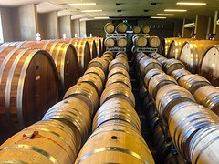Mendoza - Trapiche