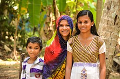 Backwaters Kerala