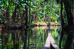Backwaters Kerala