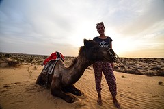 Camel ride