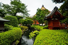 Japanse tuin - Tokyo