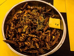 Chinese medicine (inclusief slang en wespen)