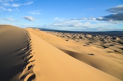 Gobi desert