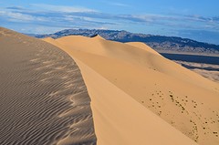 Gobi desert