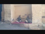 Lokale muziek