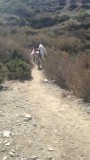 Draagpony's Annapurna circuit