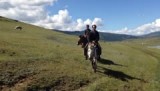 Paardenrit laatste km'ers
