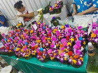 Loi Krathong