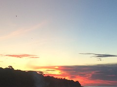 IMG_9665