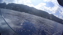 Pre-diving