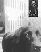 Kusje voor mijn hondje