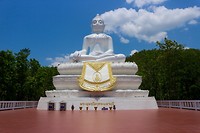 6174622416_IMG_3200