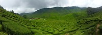 IMG_3157