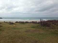 IMG_3807