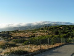 PICT0393