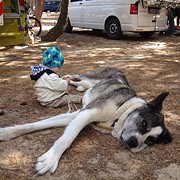 IMG_4044