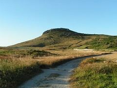 PICT0025