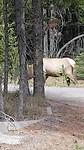 20190905_130527