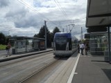 Norm. 07062014 181