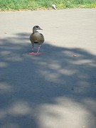 donderdag 1 september 029 deze bleef gewoon zitten