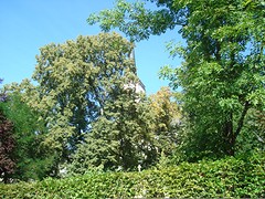 donderdag 1 september 139