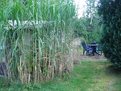 camping Hunsrück 2016 026