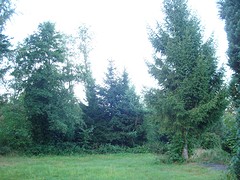 camping Hunsrück 2016 031
