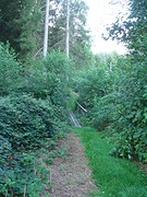 camping Hunsrück 2016 038 bruggetje, pad loopt dood