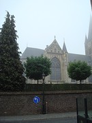 Thorn 12