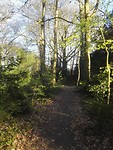 Elburg wandelroute 6