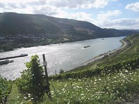 IMG_20170804_165132 Lorch