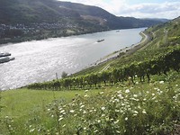 IMG_20170804_165137 Lorch