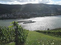 IMG_20170804_165140 Lorch