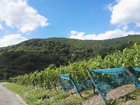 IMG_20170804_165254 Lorch