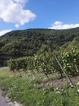 IMG_20170804_165403 Lorch