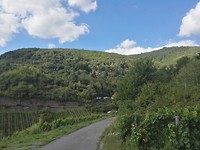 IMG_20170804_165459 Lorch