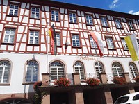 IMG_20170806_125349 Lorch
