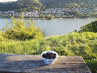 IMG_20170806_195315 Lorch