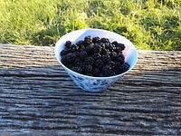 IMG_20170806_195327 Lorch