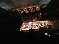 Rotterdam 50 (17)