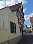 11 Augustus Alzel 3