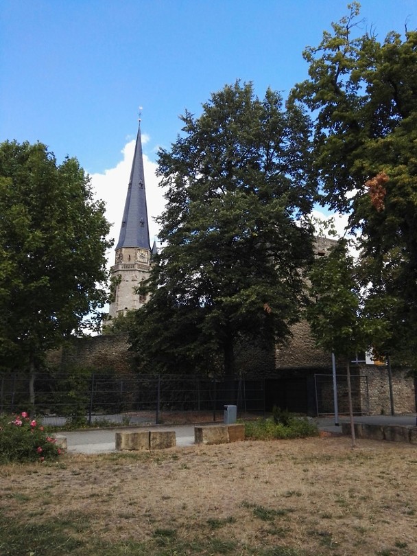 11 Augustus Hexenbleiche