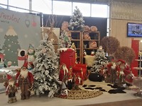 IMG_20181130_120625_resized_20181201_124422956