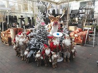 Rudolf de rednose raindear