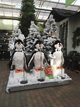 zingende pinguins